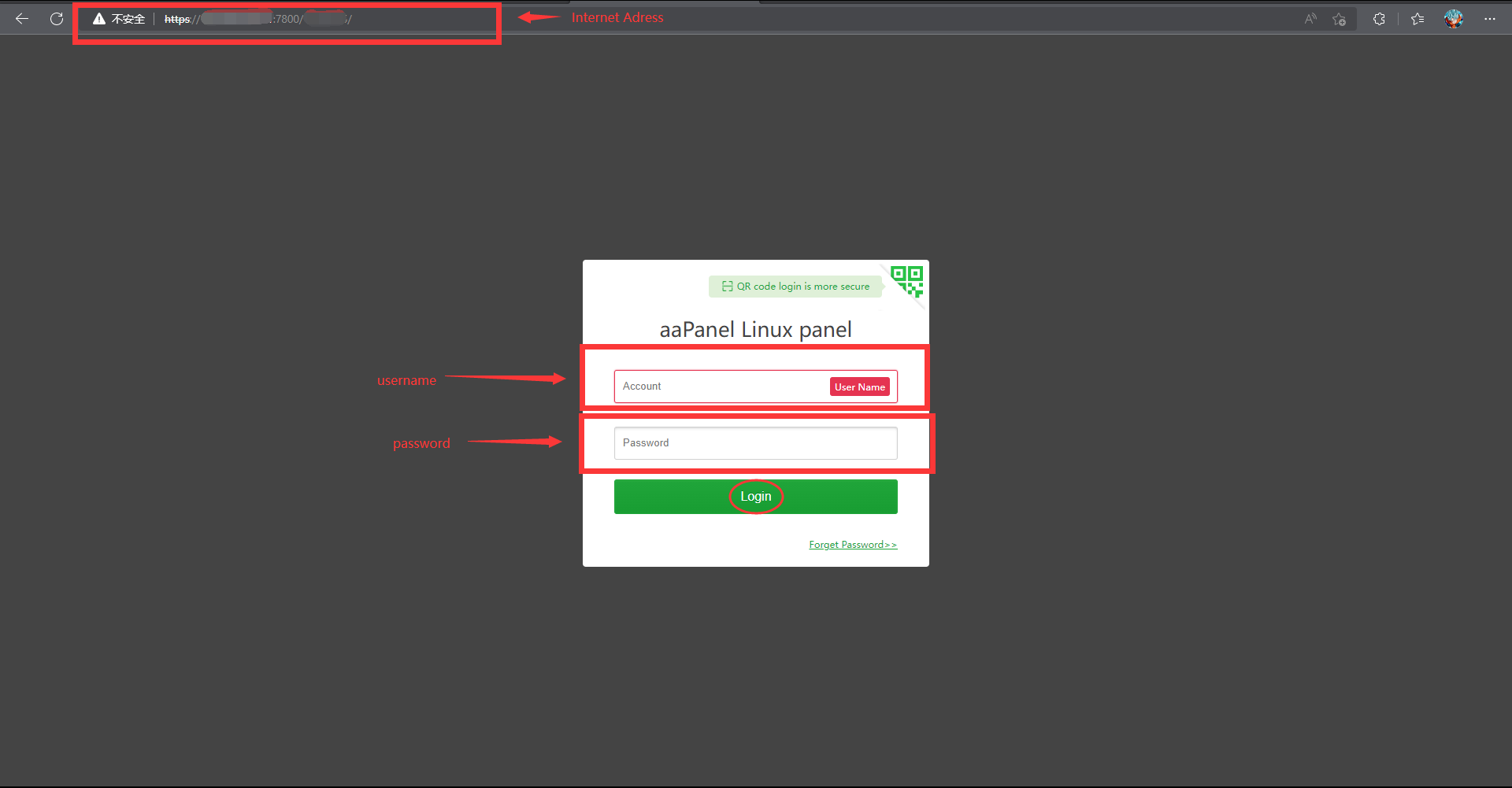 # 输入地址 账号 密码